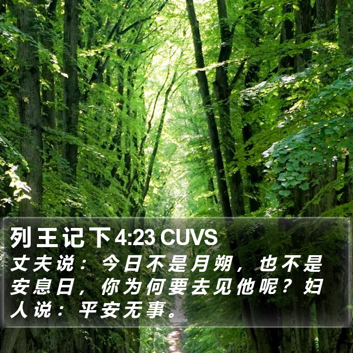 列 王 记 下 4:23 CUVS Bible Study
