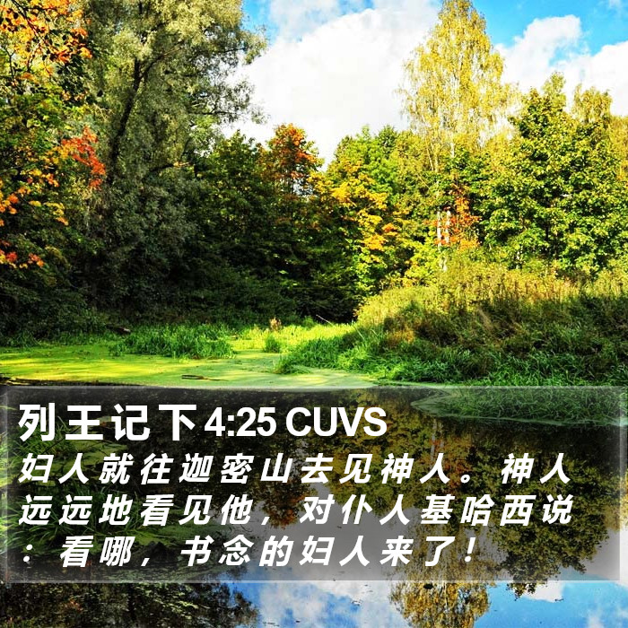 列 王 记 下 4:25 CUVS Bible Study