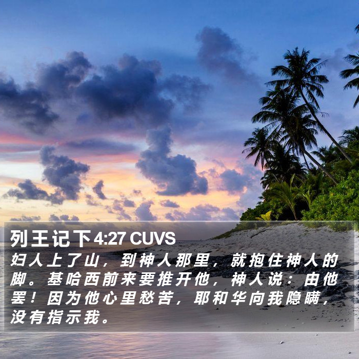 列 王 记 下 4:27 CUVS Bible Study