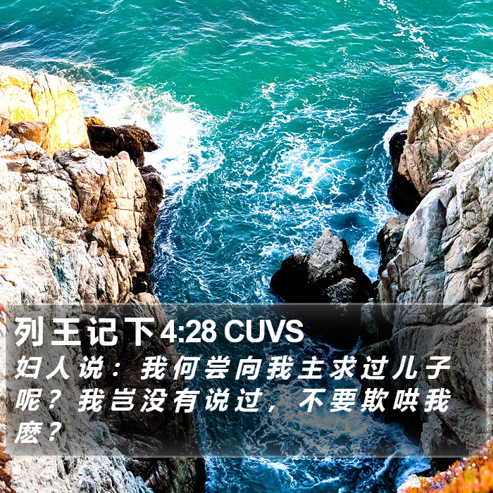 列 王 记 下 4:28 CUVS Bible Study