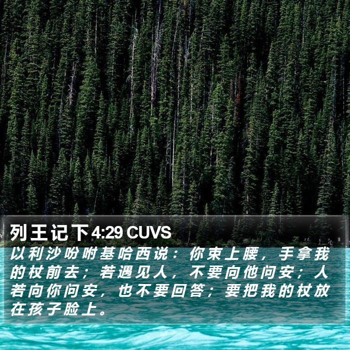 列 王 记 下 4:29 CUVS Bible Study