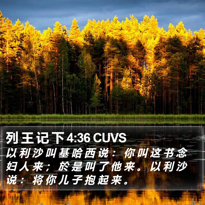 列 王 记 下 4:36 CUVS Bible Study