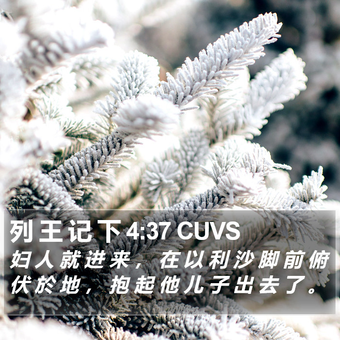 列 王 记 下 4:37 CUVS Bible Study