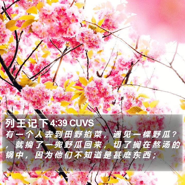 列 王 记 下 4:39 CUVS Bible Study