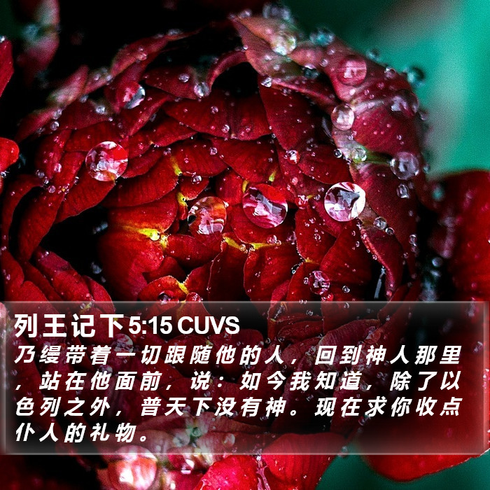 列 王 记 下 5:15 CUVS Bible Study