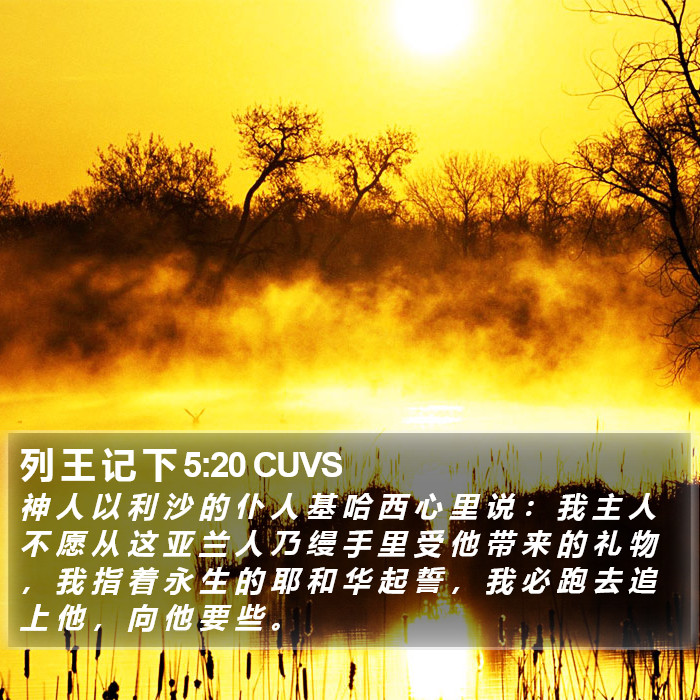 列 王 记 下 5:20 CUVS Bible Study