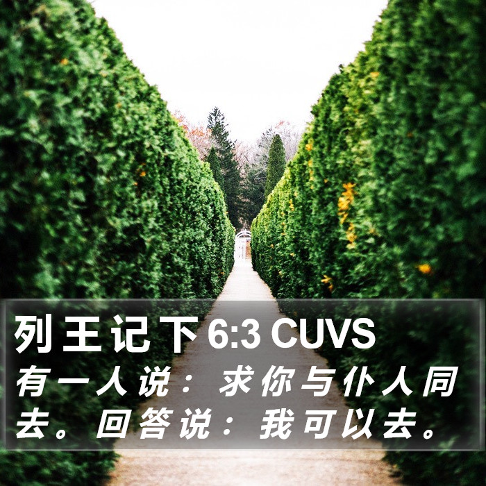 列 王 记 下 6:3 CUVS Bible Study