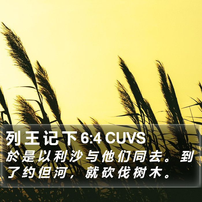 列 王 记 下 6:4 CUVS Bible Study