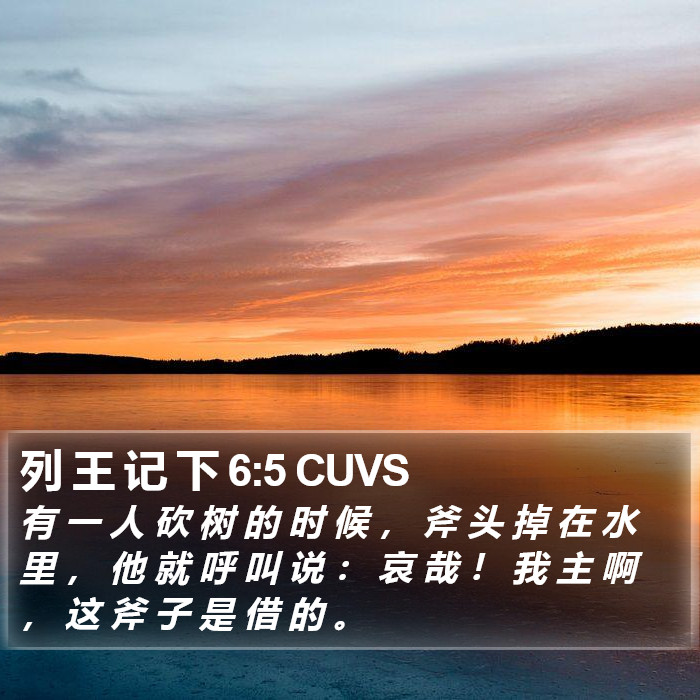 列 王 记 下 6:5 CUVS Bible Study