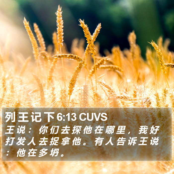 列 王 记 下 6:13 CUVS Bible Study