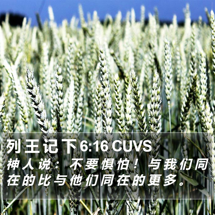 列 王 记 下 6:16 CUVS Bible Study