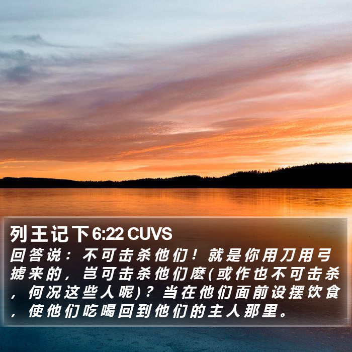 列 王 记 下 6:22 CUVS Bible Study