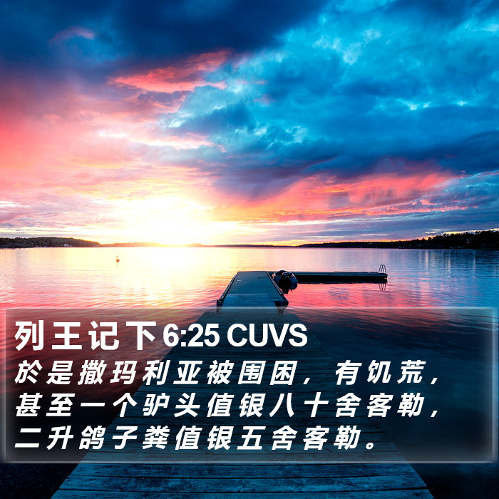 列 王 记 下 6:25 CUVS Bible Study