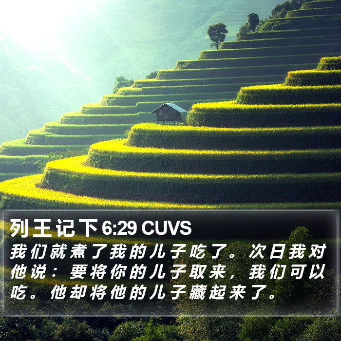 列 王 记 下 6:29 CUVS Bible Study