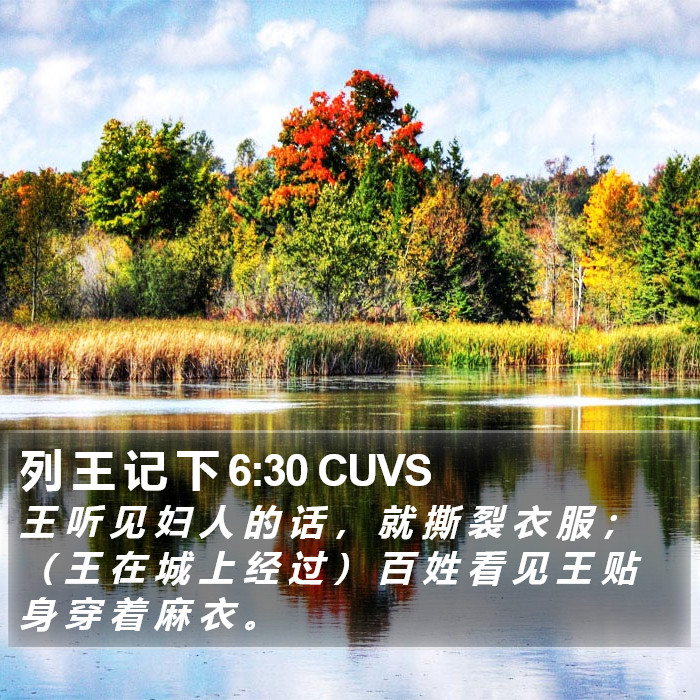 列 王 记 下 6:30 CUVS Bible Study