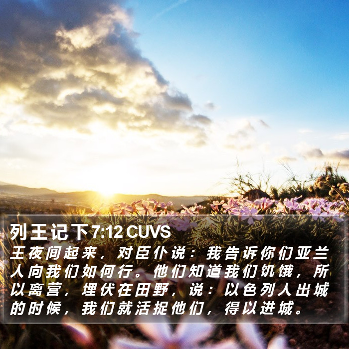 列 王 记 下 7:12 CUVS Bible Study