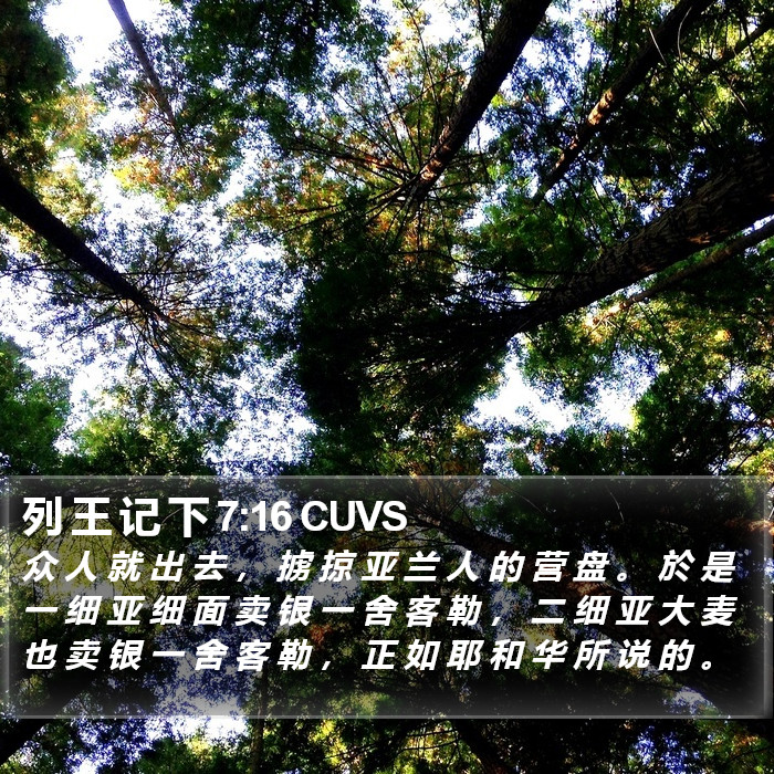 列 王 记 下 7:16 CUVS Bible Study