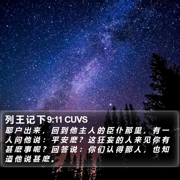 列 王 记 下 9:11 CUVS Bible Study