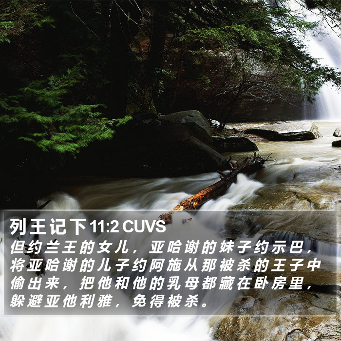 列 王 记 下 11:2 CUVS Bible Study