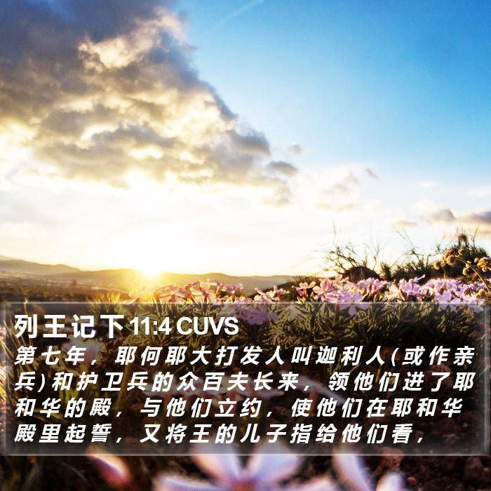 列 王 记 下 11:4 CUVS Bible Study