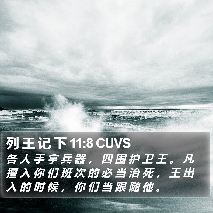 列 王 记 下 11:8 CUVS Bible Study