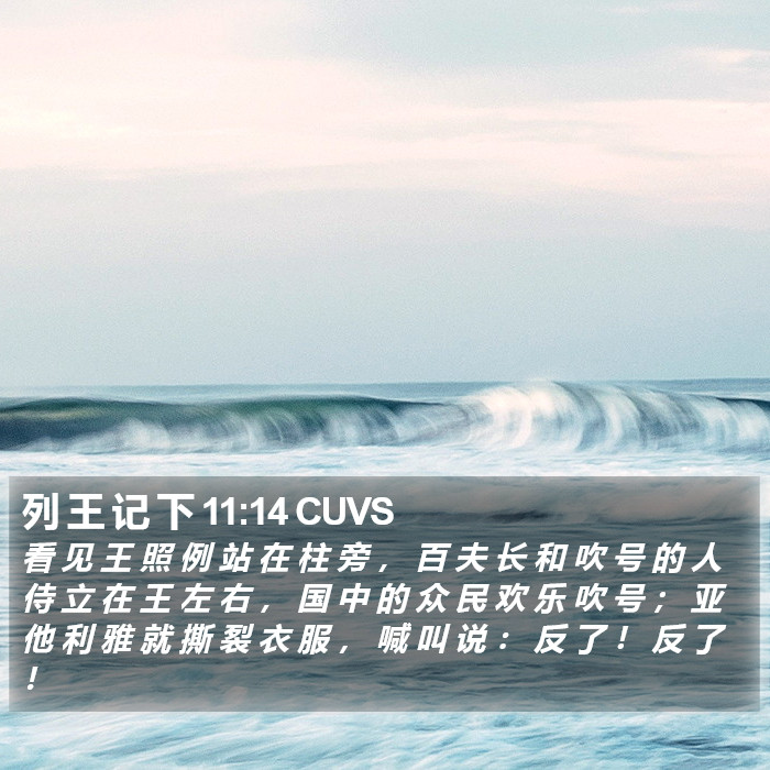 列 王 记 下 11:14 CUVS Bible Study