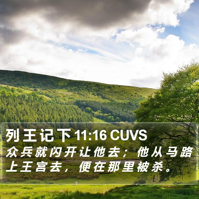 列 王 记 下 11:16 CUVS Bible Study