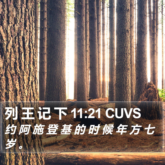 列 王 记 下 11:21 CUVS Bible Study