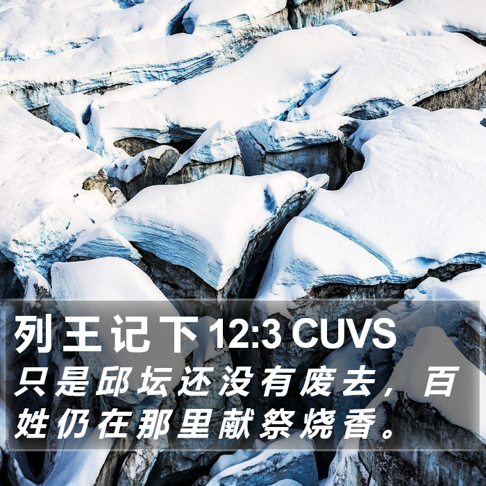 列 王 记 下 12:3 CUVS Bible Study