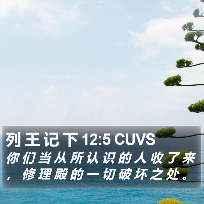 列 王 记 下 12:5 CUVS Bible Study