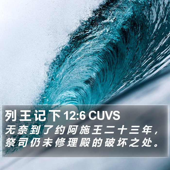 列 王 记 下 12:6 CUVS Bible Study