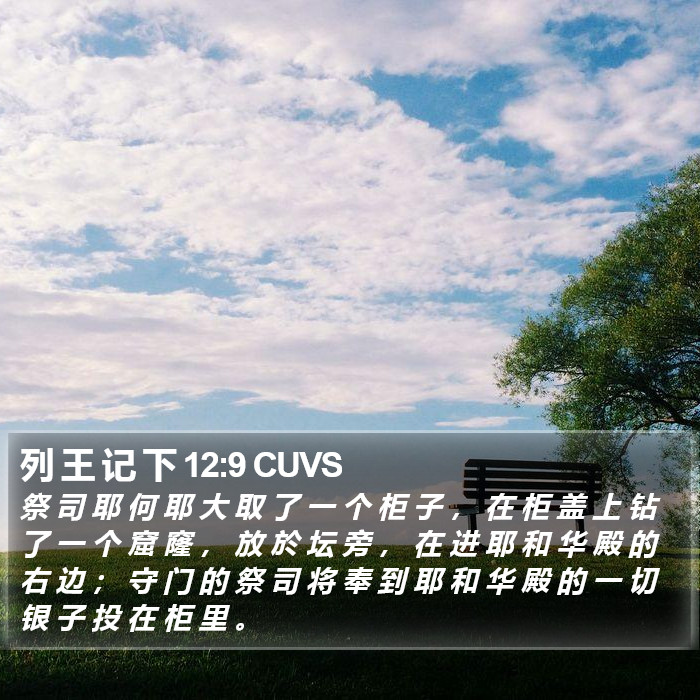 列 王 记 下 12:9 CUVS Bible Study