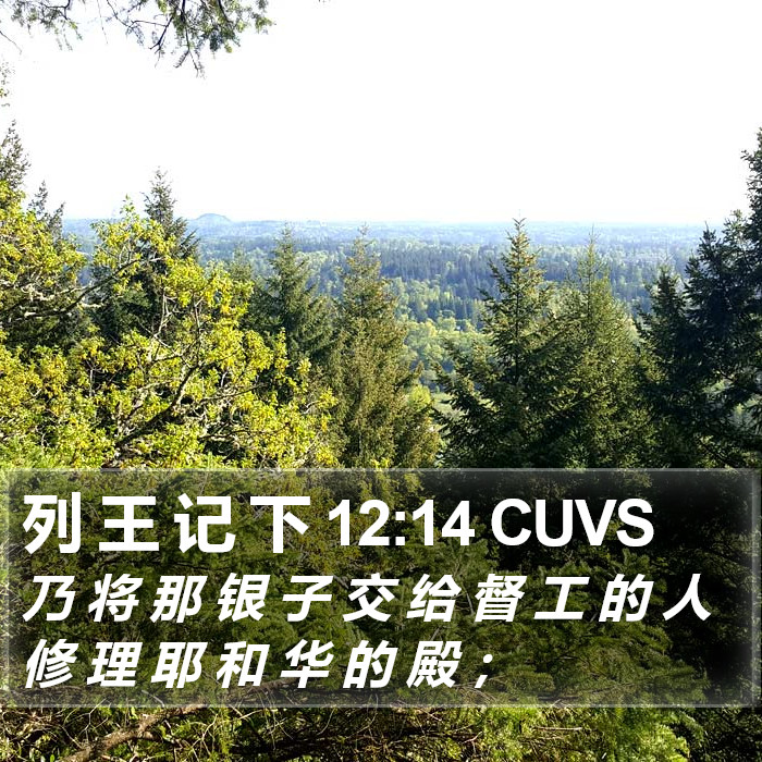 列 王 记 下 12:14 CUVS Bible Study