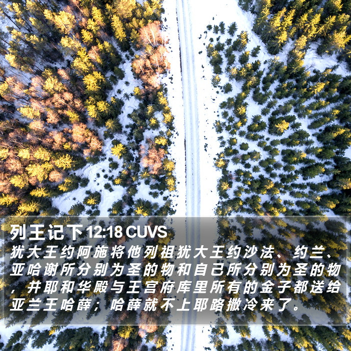 列 王 记 下 12:18 CUVS Bible Study