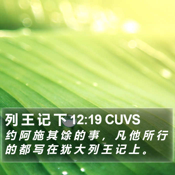 列 王 记 下 12:19 CUVS Bible Study