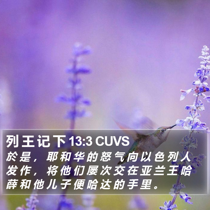 列 王 记 下 13:3 CUVS Bible Study