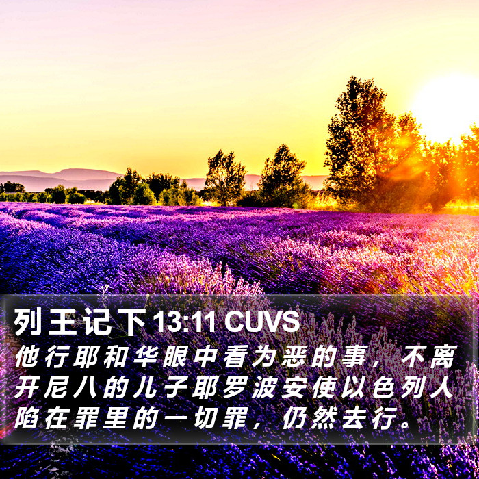 列 王 记 下 13:11 CUVS Bible Study
