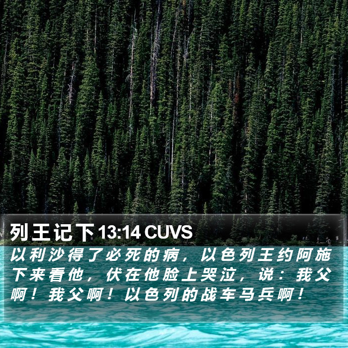 列 王 记 下 13:14 CUVS Bible Study