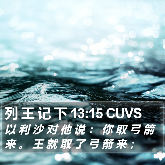列 王 记 下 13:15 CUVS Bible Study