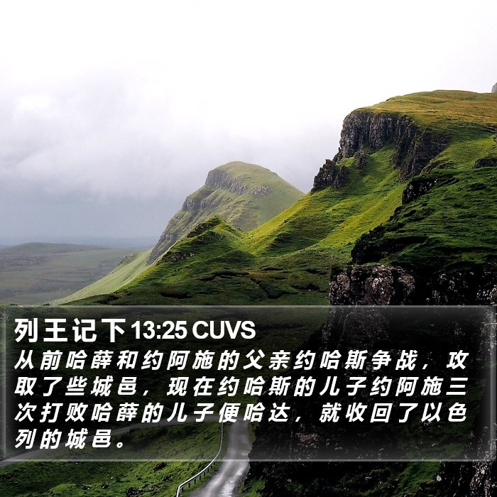 列 王 记 下 13:25 CUVS Bible Study