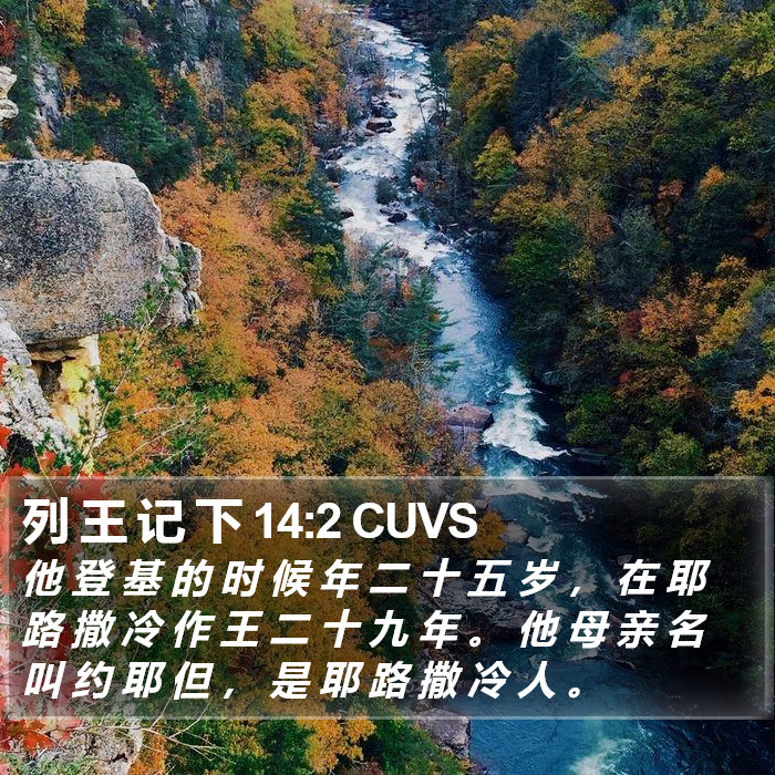 列 王 记 下 14:2 CUVS Bible Study