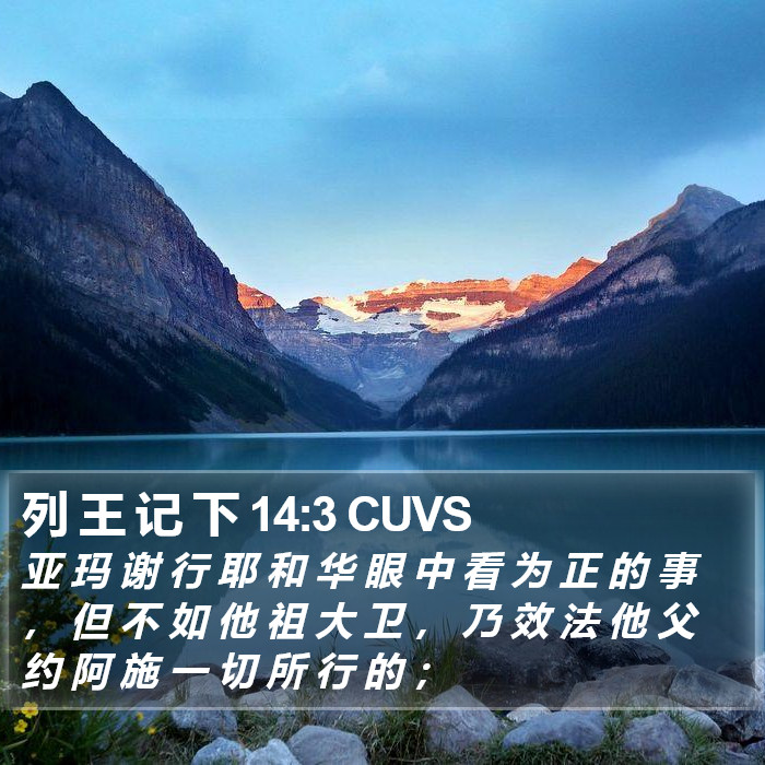 列 王 记 下 14:3 CUVS Bible Study