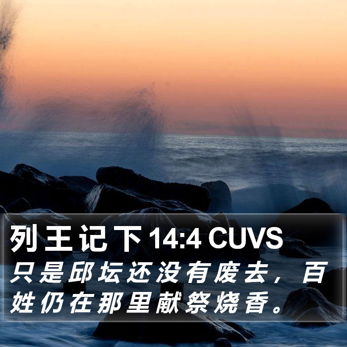 列 王 记 下 14:4 CUVS Bible Study