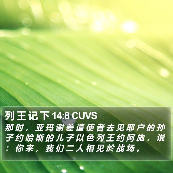 列 王 记 下 14:8 CUVS Bible Study