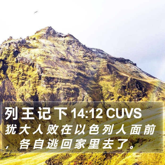 列 王 记 下 14:12 CUVS Bible Study