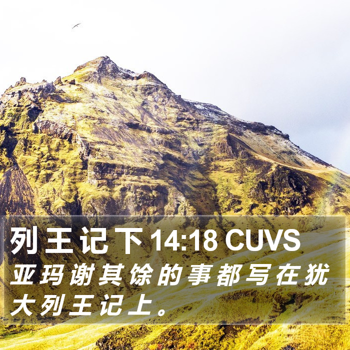 列 王 记 下 14:18 CUVS Bible Study