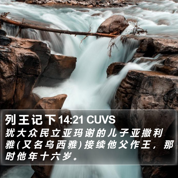 列 王 记 下 14:21 CUVS Bible Study