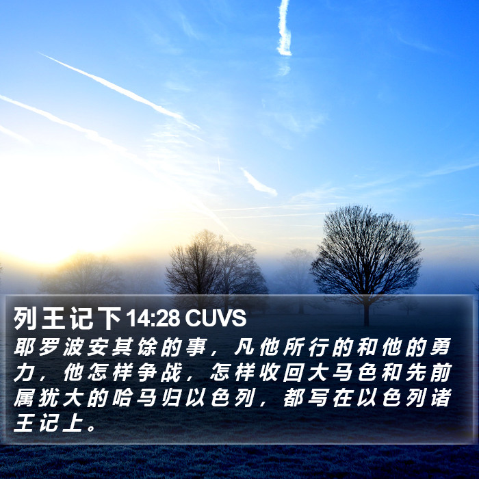 列 王 记 下 14:28 CUVS Bible Study