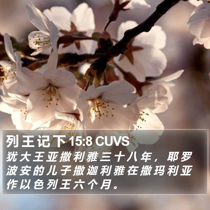 列 王 记 下 15:8 CUVS Bible Study