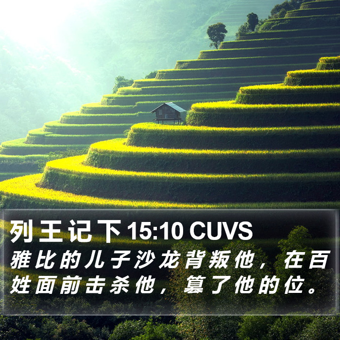 列 王 记 下 15:10 CUVS Bible Study